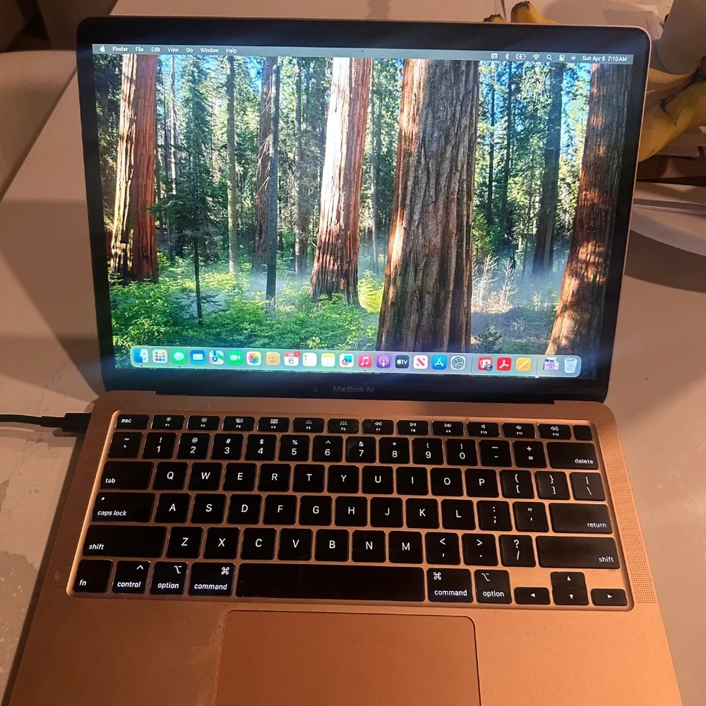 8 GB Rosegold MacBook Air